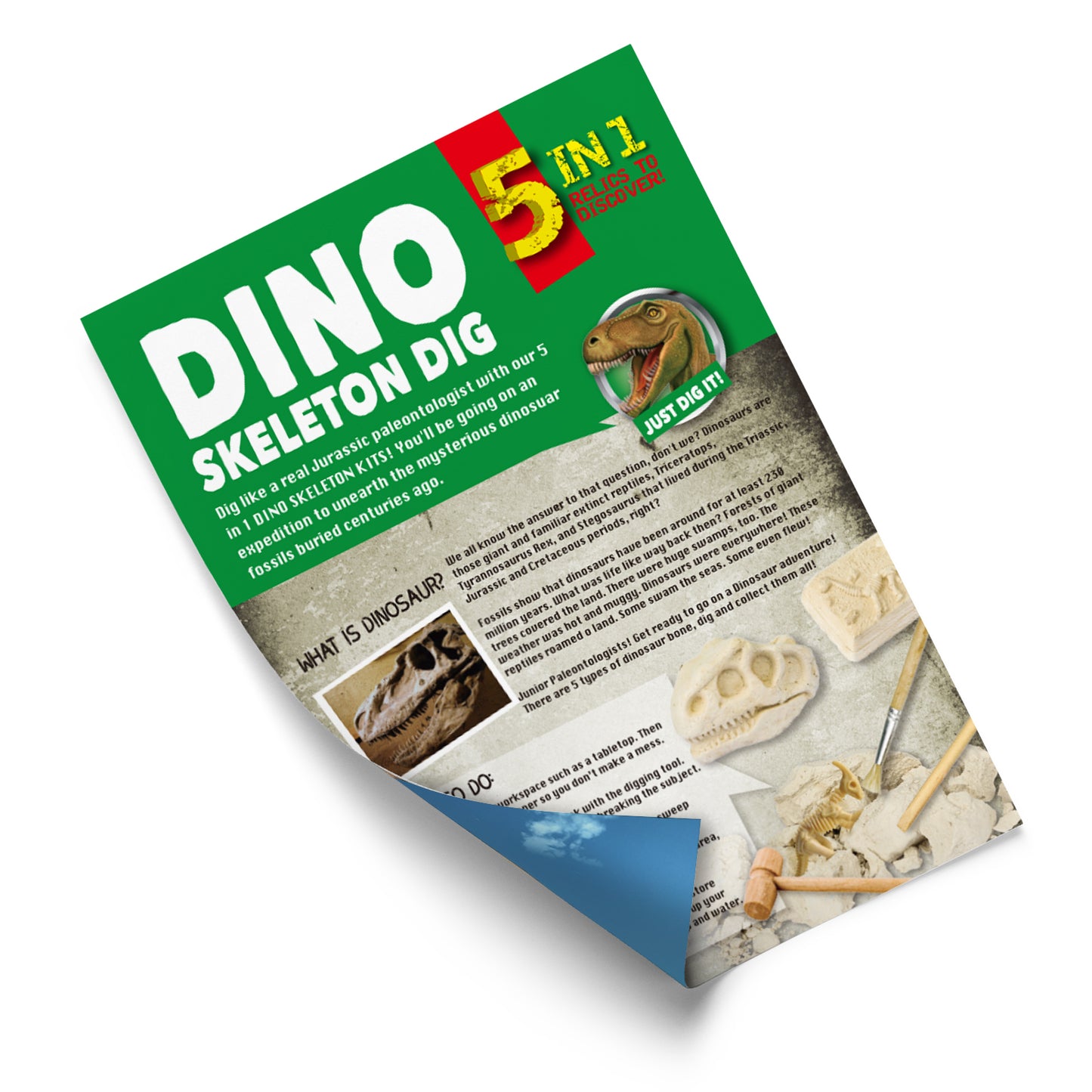 Dinosaur Fossil Digging Kit (5 in 1)