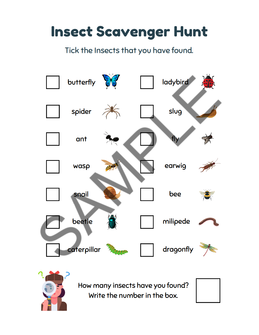 Bugs & Insects Activity Book