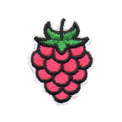 Raspberry Segment Patch