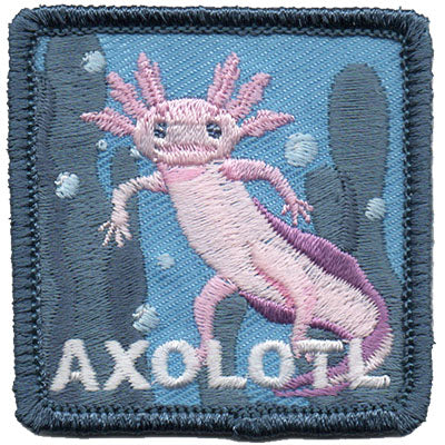 Axolotl Patch