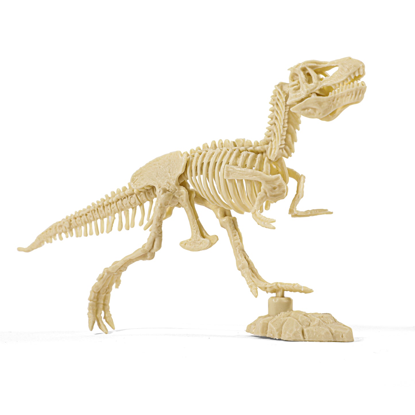 Tyrannosaurus Dig Kit