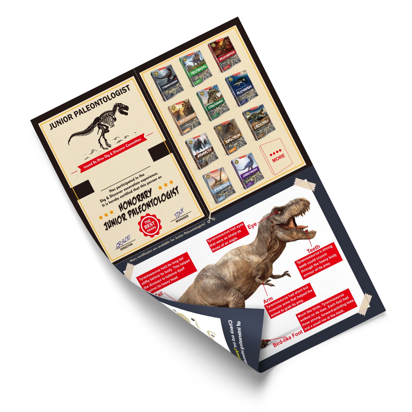 Tyrannosaurus Dig Kit