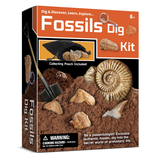 Fossils Dig Kit