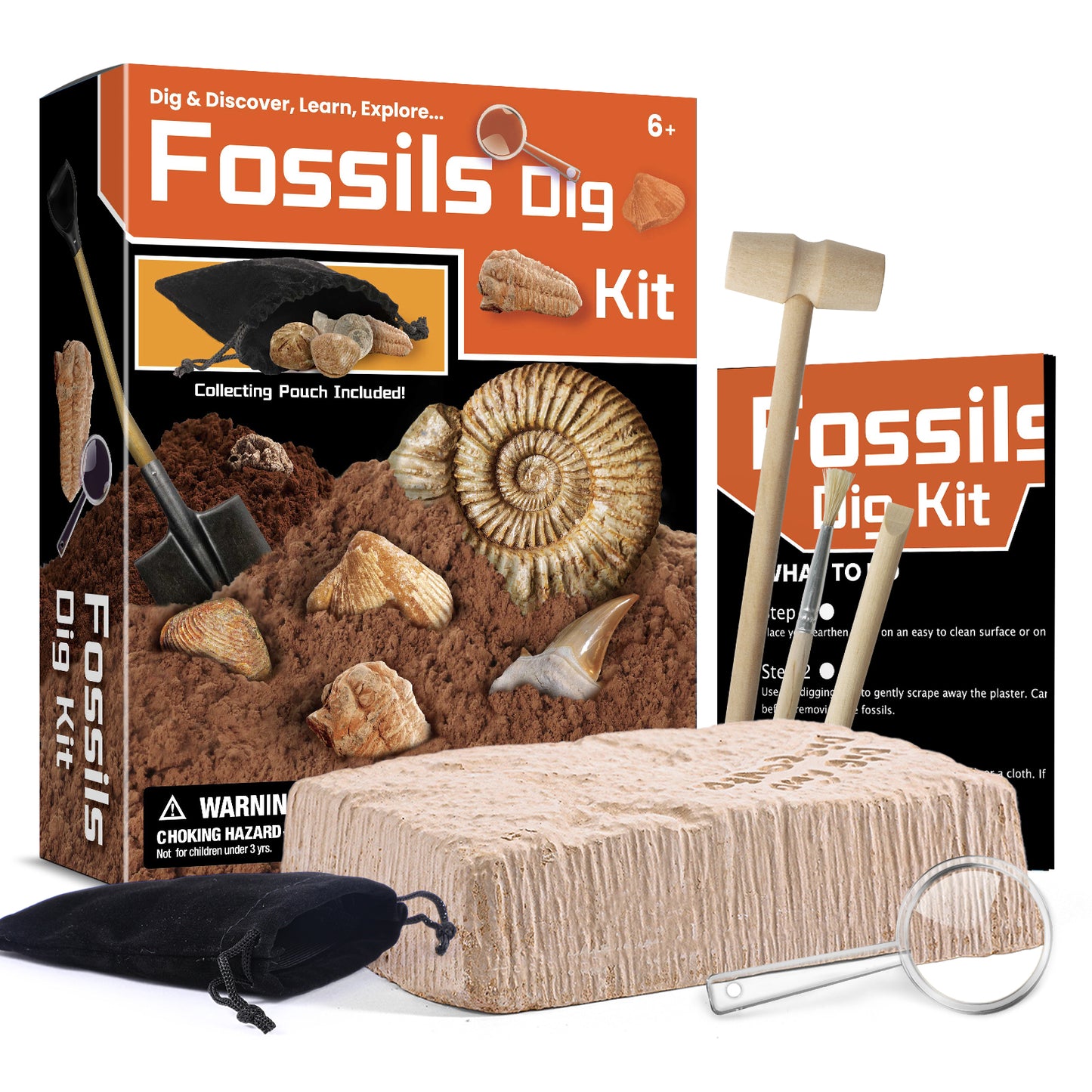 Fossils Dig Kit