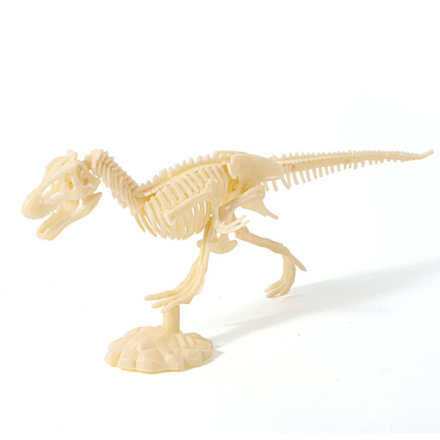 Glow-in-The-Dark Tyrannosaurus Dig Kit