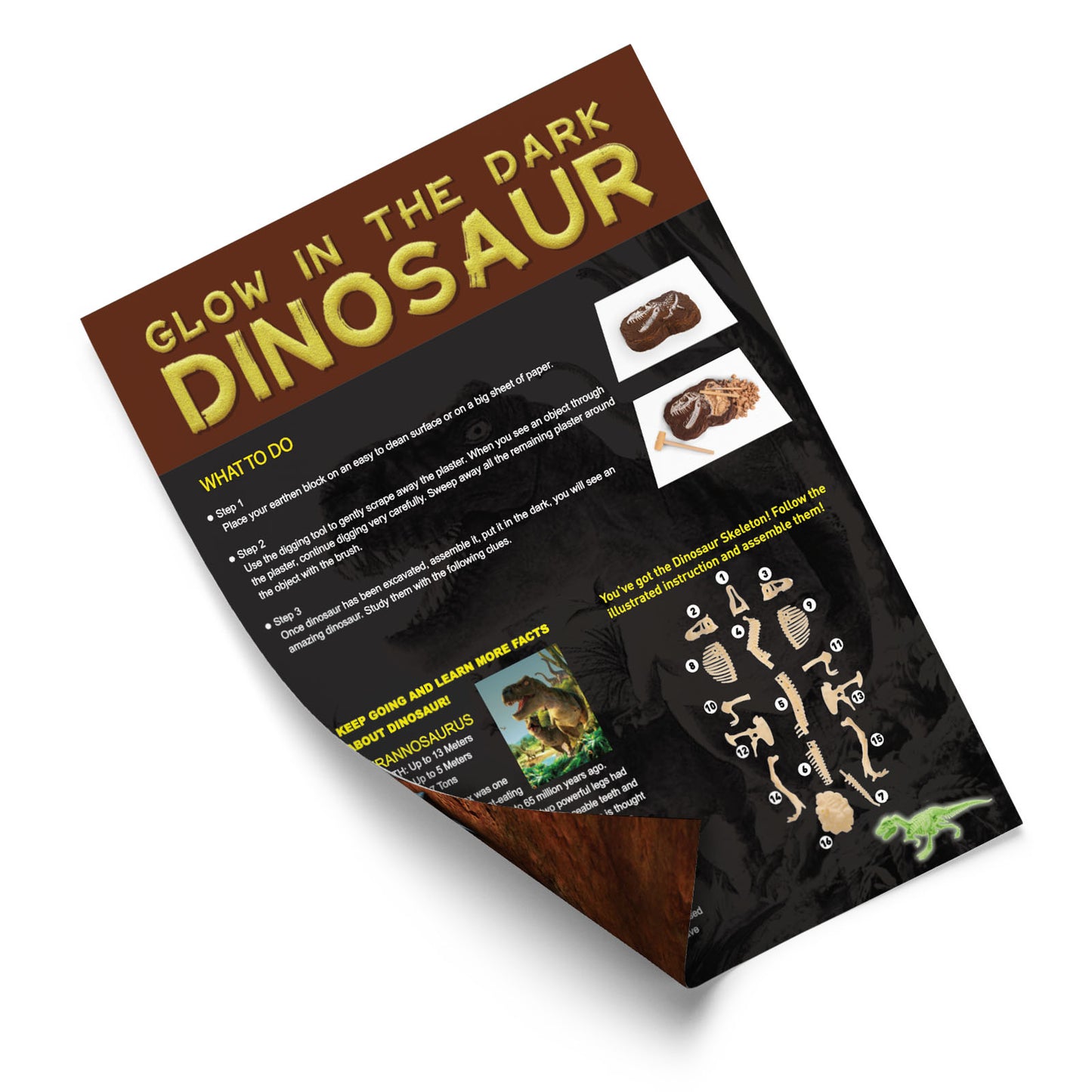 Glow-in-The-Dark Tyrannosaurus Dig Kit