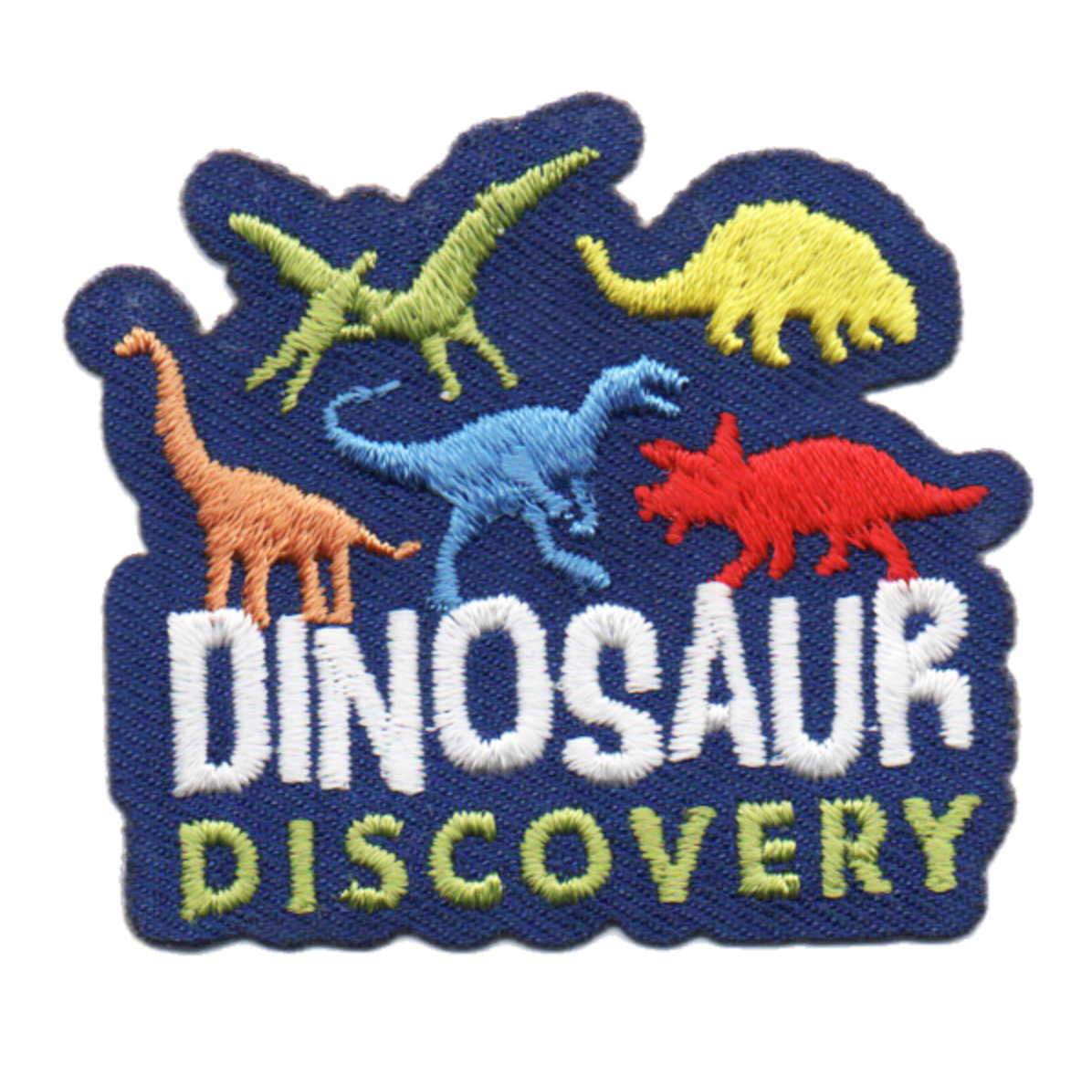 Dinosaur Discovery Patch