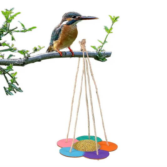 Bird Feeder Kit