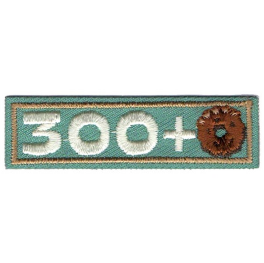 300+ Patch