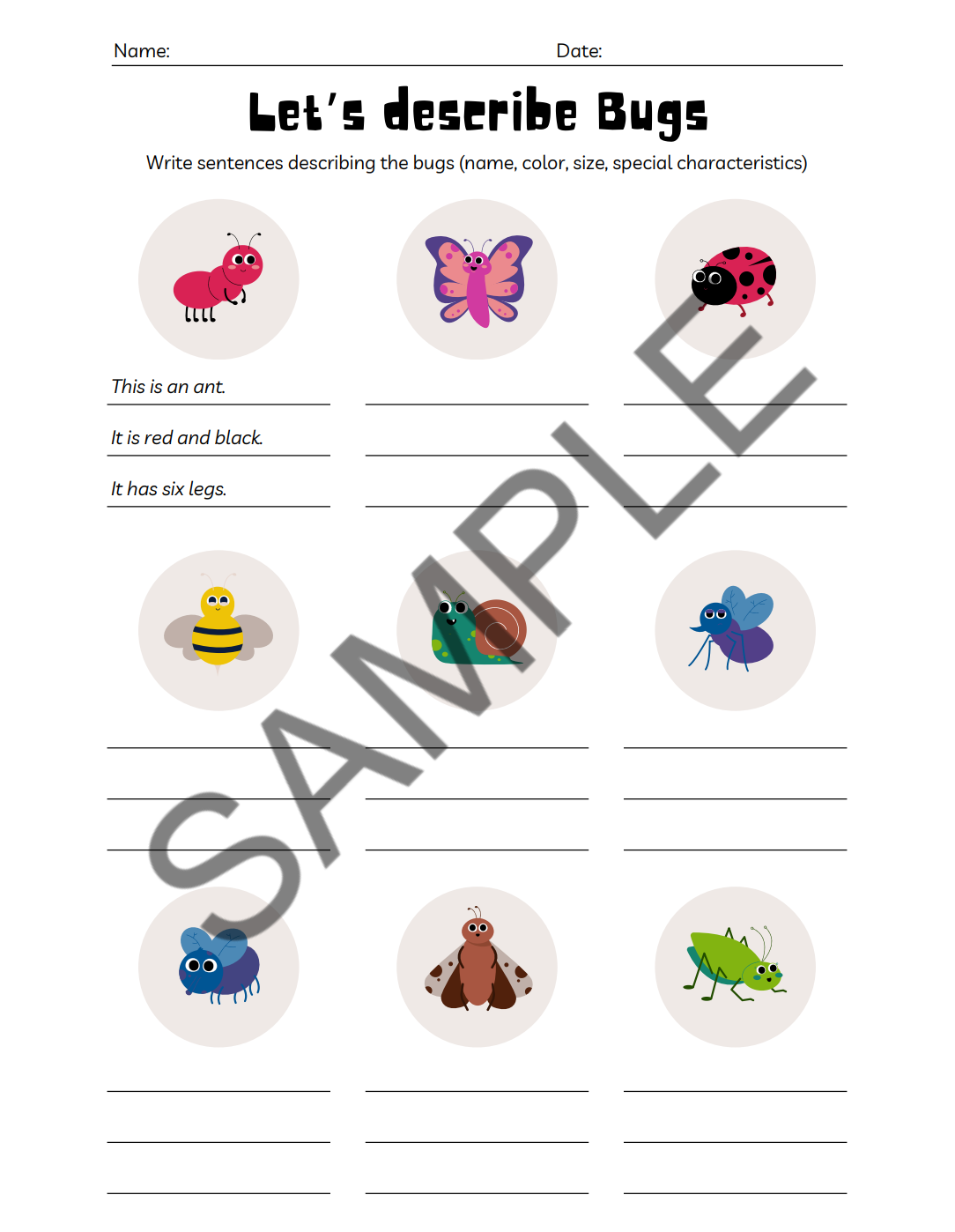 Bugs & Insects Activity Book