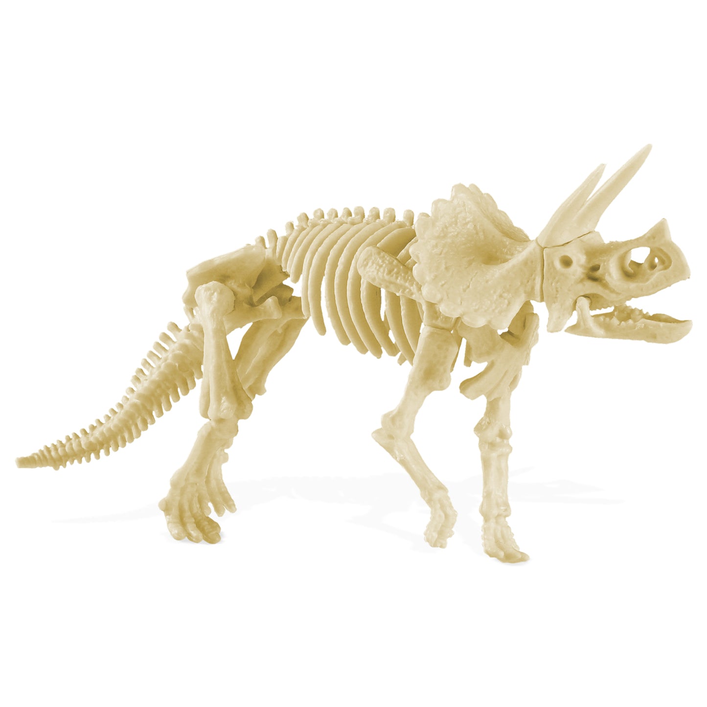 Triceratops Dig Kit