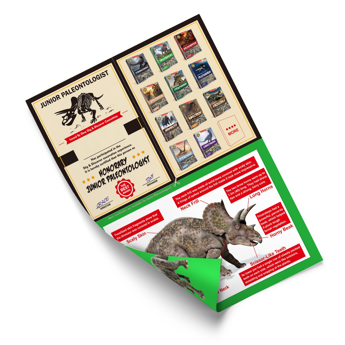 Triceratops Dig Kit